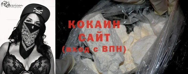хмурый Абаза