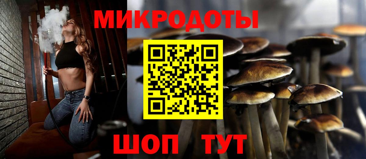 Лабытнанги  Псилоцибиновые грибы Psilocybine cubensis  Вход с VPN  Псилоцибиновые грибы мицелий 