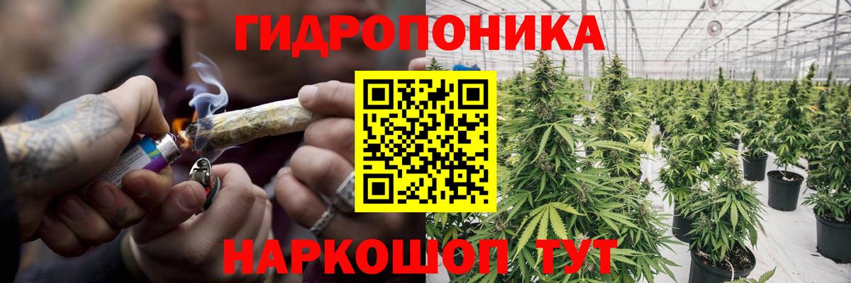 Каннабис марихуана Лабытнанги